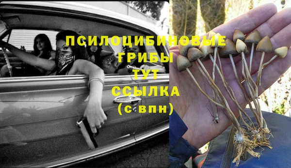 apvp Балахна